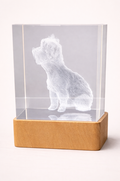 Quartz Éternel