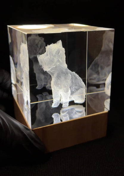 Quartz Éternel