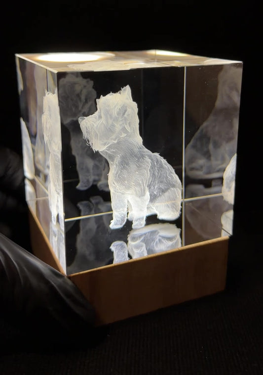 Quartz Éternel